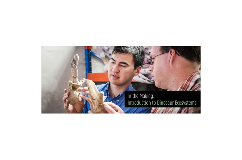 dino-banner