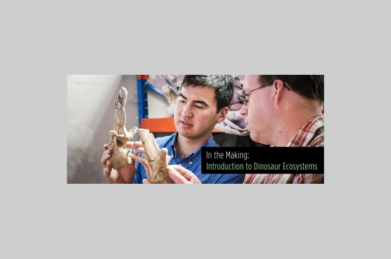 dino-banner