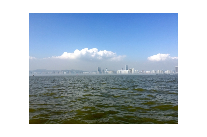 IMG_2338 copy