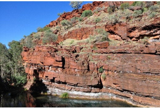 Photoferrotrophic Bacteria Initiated Plate Tectonics in the Neoarchean