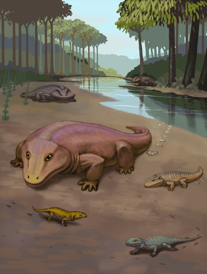 Reconstruction of Mentougou Fauna 